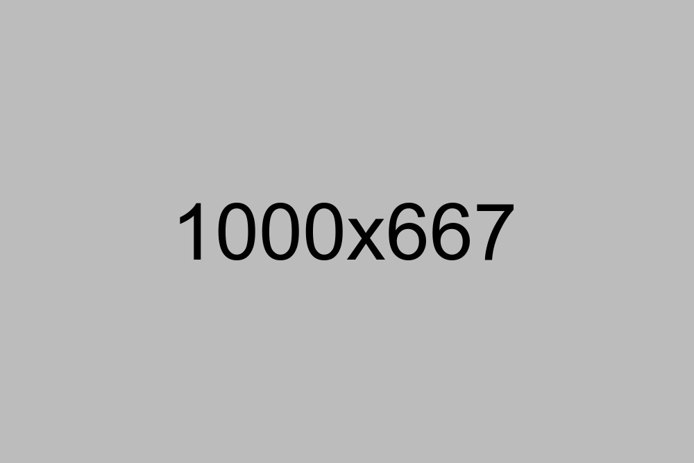 Project 10